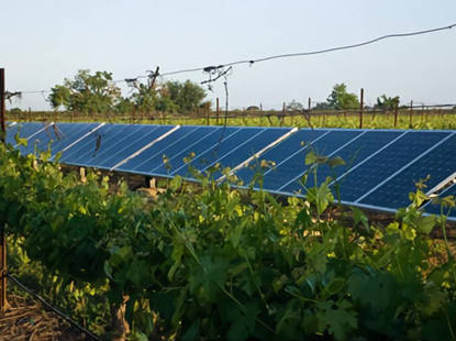 Solar para Bodegas y Viñedos